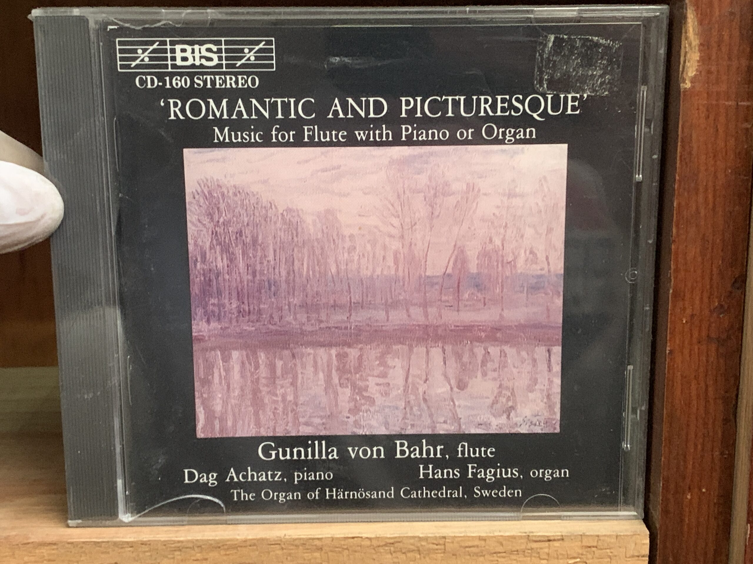 Romantic and Picturesque